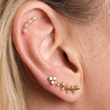 Buy Karolyn Brown Emma Leaf Ear Climber Piercing Online for Women | Free 3-Hour Delivery in Dubai | Boom & Mellow UAE