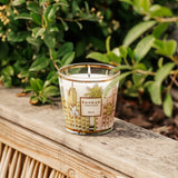 Buy Baobab Collection Max 08 My First Baobab Cities Miami Candle Online for Women | Free 3-Hour Delivery in Dubai | Boom & Mellow UAE