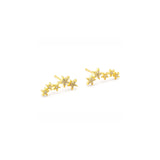 Buy Tai Multi Pave Star Earrings Online for Women | Free 3-Hour Delivery in Dubai | Boom & Mellow UAE