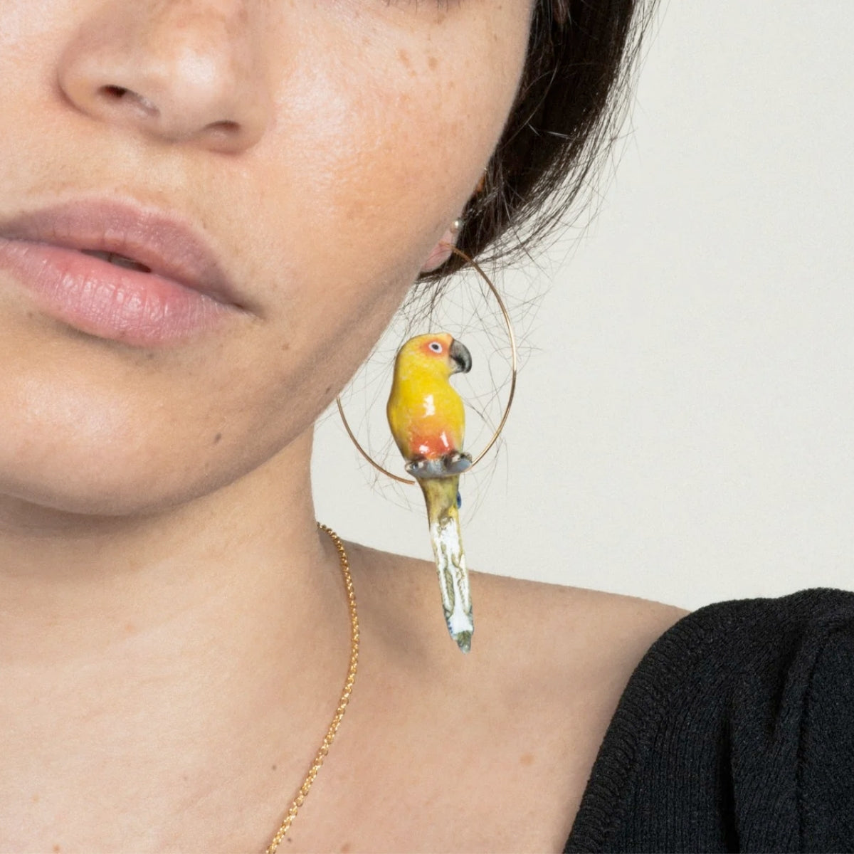 Buy Nach Bijoux Sun Parrot Earrings Online for Women | Free 3-Hour Delivery in Dubai | Boom & Mellow UAE