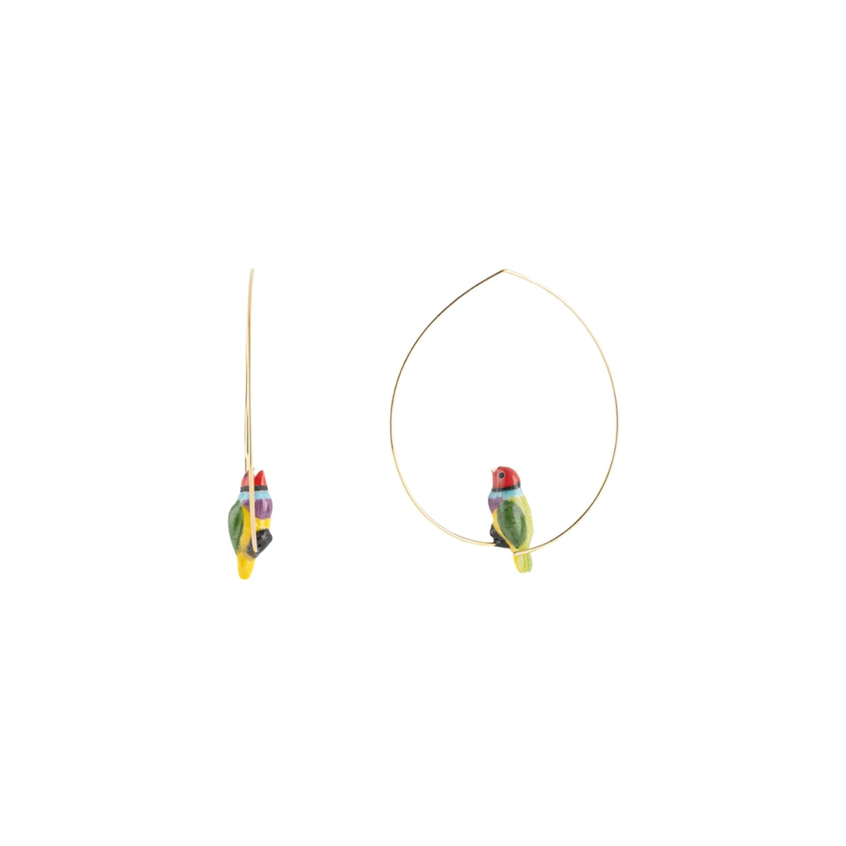 Buy Nach Bijoux Gouldian Finch Bird Hoop Earrings Online for Women | Free 3-Hour Delivery in Dubai | Boom & Mellow UAE