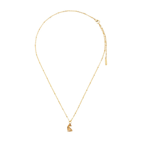 Buy Nach Bijoux Cheetah Mini Necklace Gold Online for Women | Free 3-Hour Delivery in Dubai | Boom & Mellow UAE