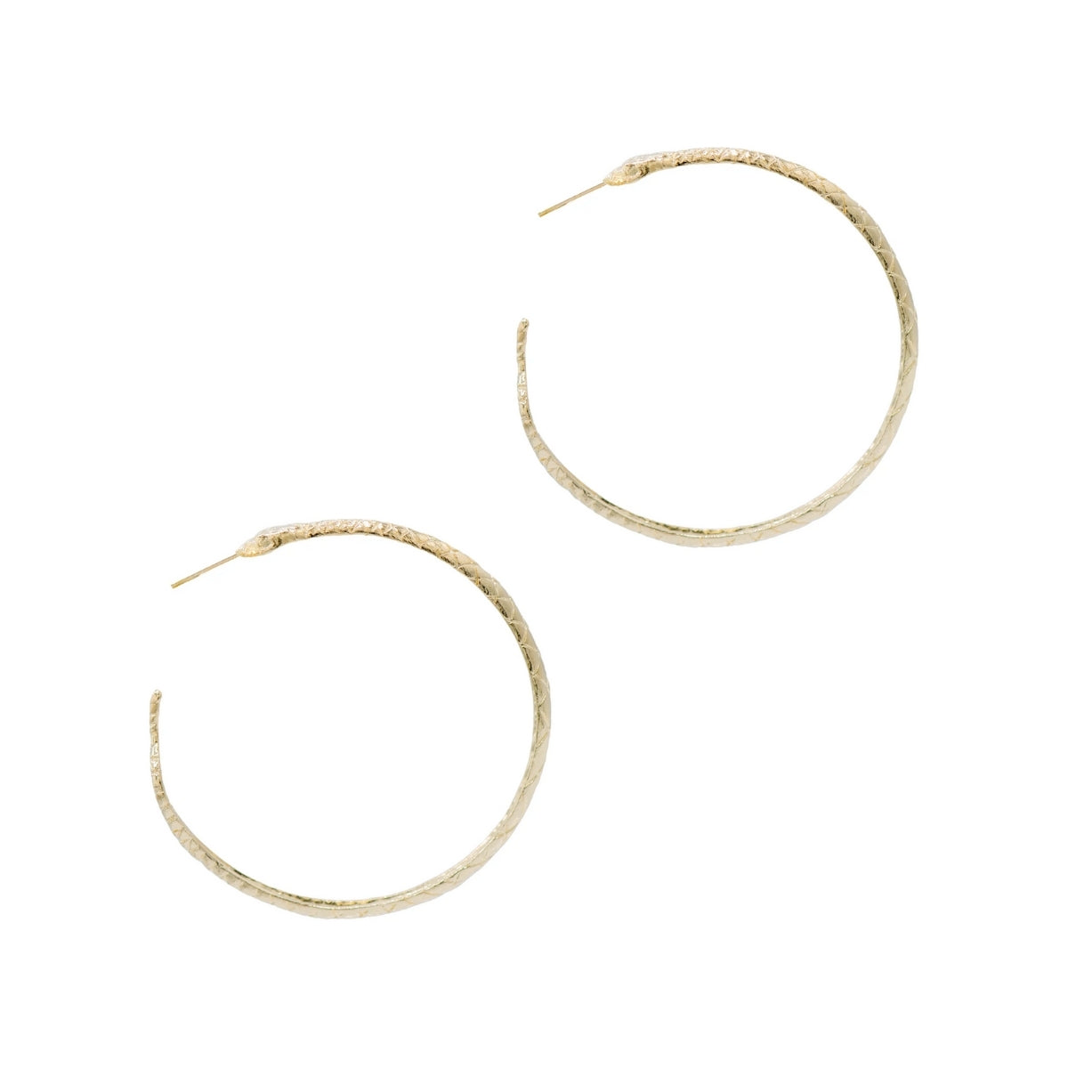 Buy Marcia Moran Zelma Cobra Hoop Earrings Online for Women | Free 3-Hour Delivery in Dubai | Boom & Mellow UAE